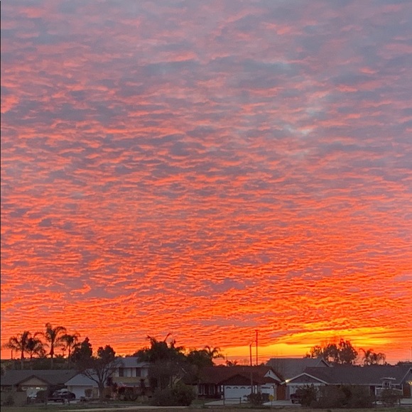 Meet your Posher, Carly - Picture 1 of 1